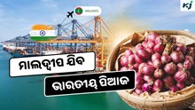 Exports: ଚିନି, ଚାଉଳ, ପିଆଜ ରପ୍ତାନୀ ପାଇଁ ଭାରତ ଦେଲା ଅନୁମତି 