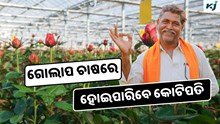 Rose: କିପରି ଆରମ୍ଭ କରିବେ ଗୋଲାପ ଚାଷ ? ମିଳୁଛି 10 ଲକ୍ଷର ଲାଭ  Rose: କିପରି ଆରମ୍ଭ କରିବେ ଗୋଲାପ ଚାଷ ? ମିଳୁଛି 10 ଲକ୍ଷର ଲାଭ