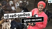 Goat: ଦେଶର 10 ଟି Best ଛେଳି ପ୍ରଜାତି, କମେଇ ପାରିବେ ଲକ୍ଷ ଲକ୍ଷ ଟଙ୍କା 