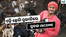 Goat: ଦେଶର 10 ଟି Best ଛେଳି ପ୍ରଜାତି, କମେଇ ପାରିବେ ଲକ୍ଷ ଲକ୍ଷ ଟଙ୍କା 
