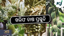 ଖରିଫ ଫସଲ : ଜାଣନ୍ତୁ କପରି କରିବେ ଖସଡା ପ୍ରସ୍ତୁତି ? ଖରିଫ ଫସଲ : ଜାଣନ୍ତୁ କପରି କରିବେ ଖସଡା ପ୍ରସ୍ତୁତି ?