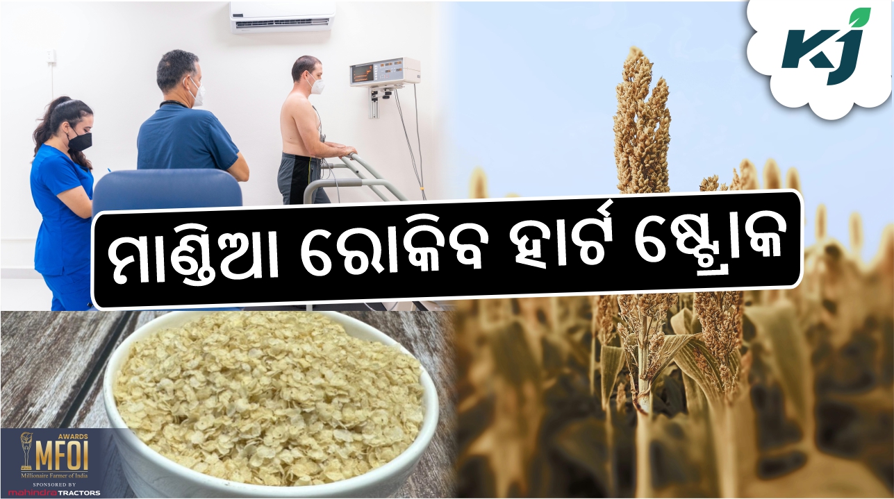 healthy millets for health, image source - pixeles