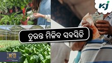 CDP-SURAKSHA Portal: ଏଥର ତୁରନ୍ତ ମିଳିବ ସବସିଡି 