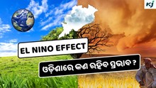 El Nino Effect : ଓଡ଼ିଶାର ଧାନ ଉତ୍ପାଦନ ହୋଇପାରେ ପ୍ରଭାବିତ, ଜାଣନ୍ତୁ କିପରି କରିବେ ମୁକାବିଲା ? El Nino Effect : ଓଡ଼ିଶାର ଧାନ ଉତ୍ପାଦନ ହୋଇପାରେ ପ୍ରଭାବିତ, ଜାଣନ୍ତୁ କିପରି କରିବେ ମୁକାବିଲା ?