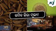 Cumin Price: ଶୀଘ୍ର ହ୍ରାସ ପାଇବ ଜିରା ମୂଲ୍ୟ!