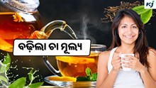 Tea: ବଢ଼ିଲା ଚା ମୂଲ୍ୟ, ଜାଣନ୍ତୁ କଣ ରହିଛି କାରଣ ?