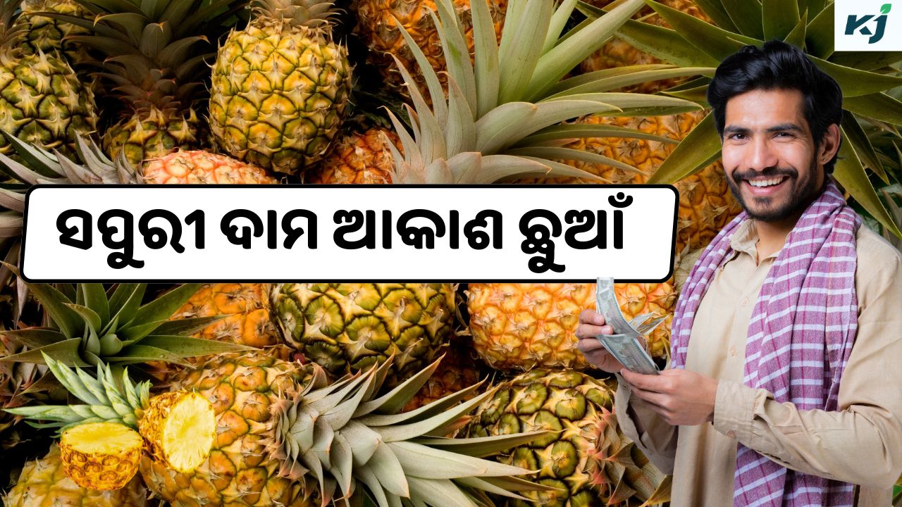 Pineapple prices, pic credit @pexel, @canva