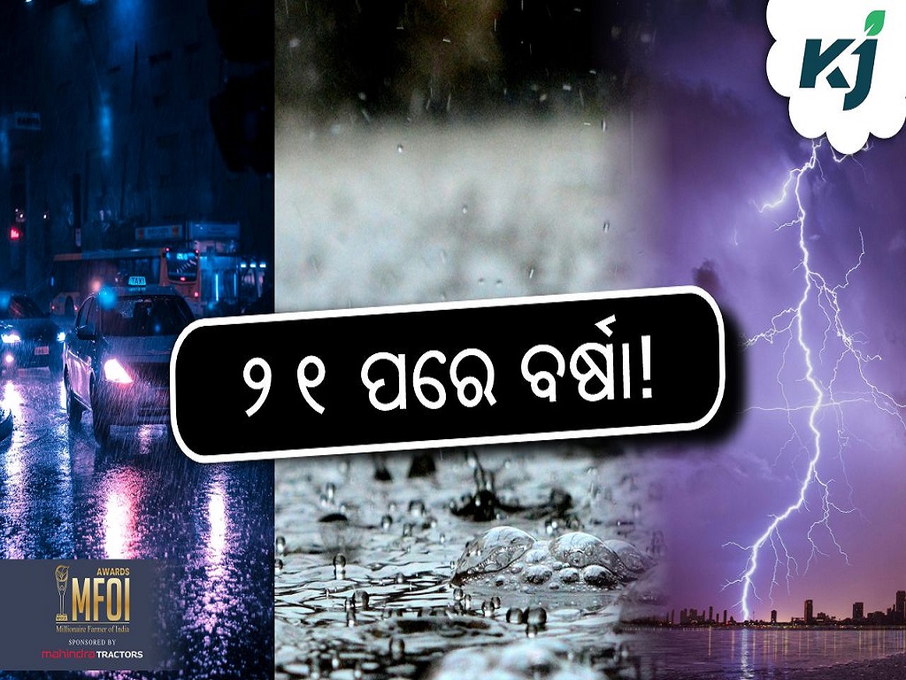 weather update heavy rainfall in odisha,image source - www.pexels.com
