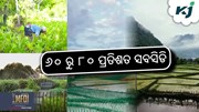 Drip Itrrigation: ଜଳସେଚନ ମେସିନ୍ ଉପରେ ସରକାରୀ ସବସିଡି  Drip Itrrigation: ଜଳସେଚନ ମେସିନ୍ ଉପରେ ସରକାରୀ ସବସିଡି