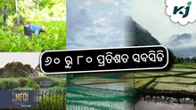 Drip Itrrigation: ଜଳସେଚନ ମେସିନ୍ ଉପରେ ସରକାରୀ ସବସିଡି 