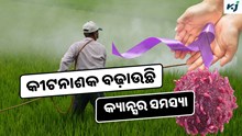 ଅଧିକ କୀଟନାଶକ ବ୍ୟବହାର କ୍ୟାନ୍ସରର କାରଣ, ହୋଇଯାଆନ୍ତୁ ସଚେତନ 