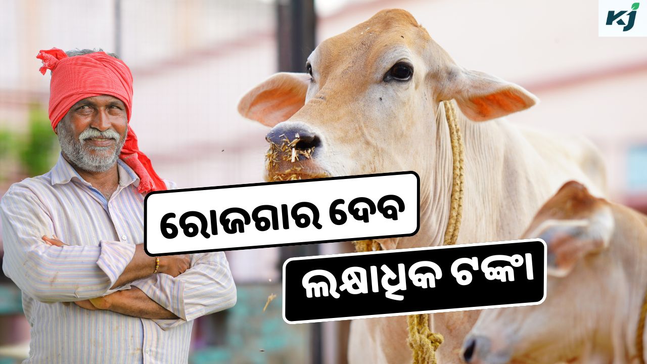 world famous punganur cow, image source - @canva , pixeles