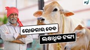 Punganur Cow: କାହିଁକି ଅଧିକ ପ୍ରସିଦ୍ଧ ଏହି ଗାଈ ?