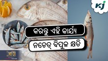 Fish Farming: ମାଛଚାଷୀ କରନ୍ତୁ ଏହି କାର୍ଯ୍ୟ, ନଚେତ୍ ବିପୁଳ କ୍ଷତି